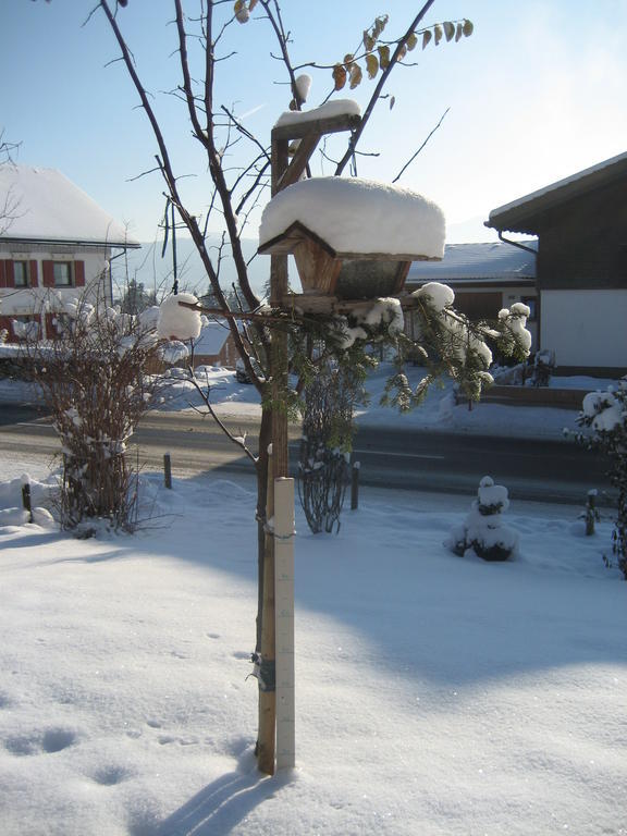 Ferienhaus Troy Doren Esterno foto